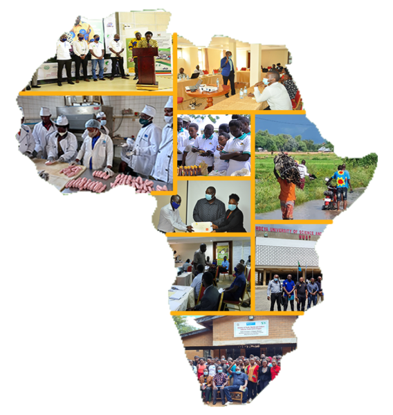 AAICE 2024 The 9th African Agribusiness Incubators Conference & Expo