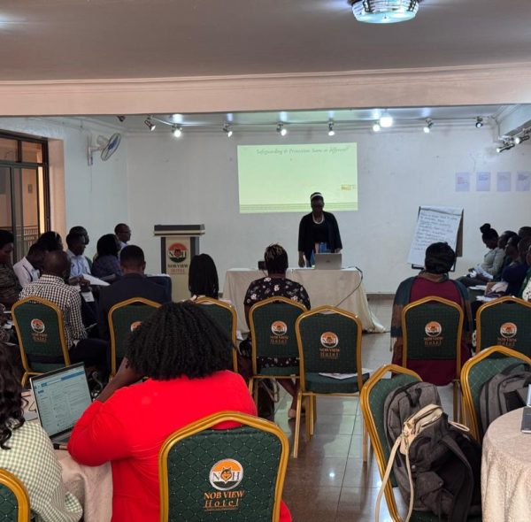 AAIN-SIYEP: Safeguarding and Protection Training facilitated by DLC