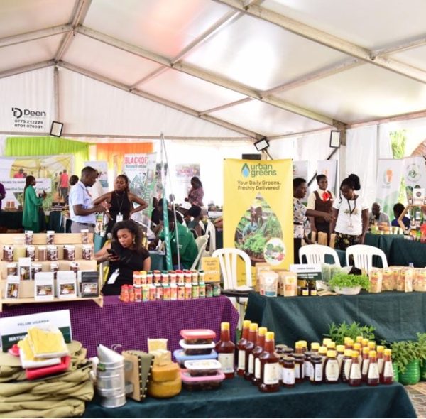 Reflections from the National Organic Week 2025