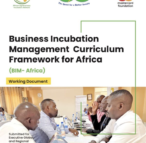 AAIN Shares BIM Curriculum and Work Packages with 25 SIYEP Anchor Incubators Across Uganda