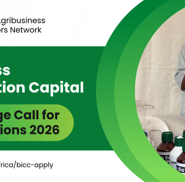 Business Incubation Capital Challenge Call for Applications 2026